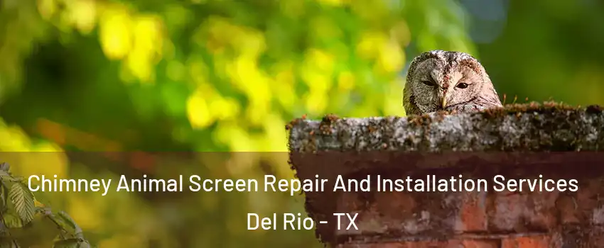  Chimney Animal Screen Repair And Installation Services Del Rio - TX
