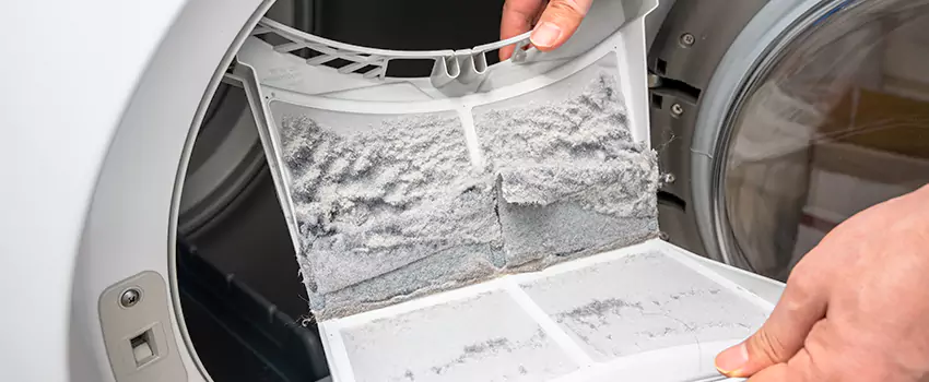 Best Dryer Lint Removal Company in Del Rio, Texas