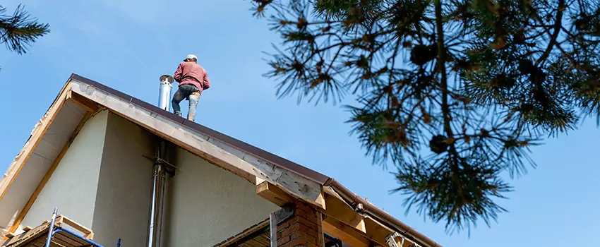Birds Removal Contractors from Chimney in Del Rio, TX